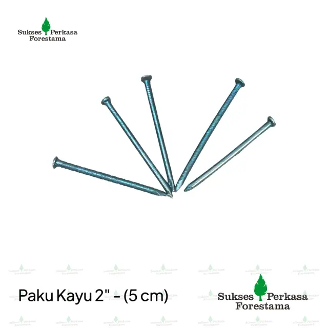 Paku Kayu 2" - (5 cm)