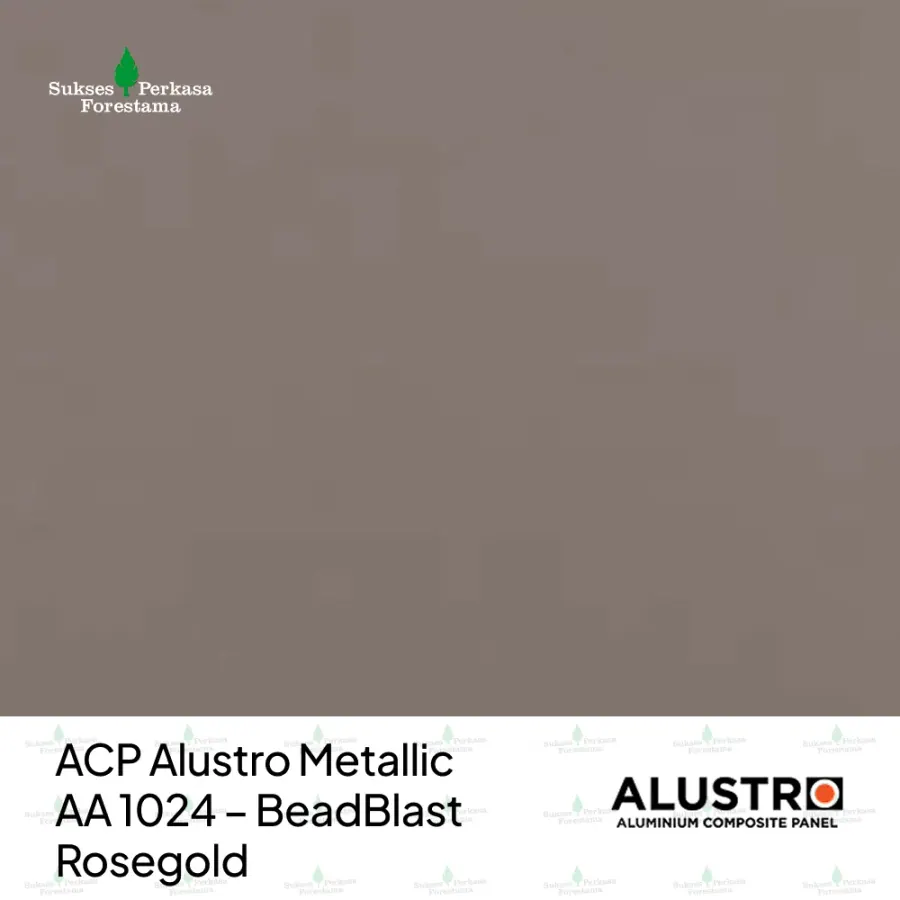 ACP Alustro Metallic AA 1024 – BeadBlast Rosegold