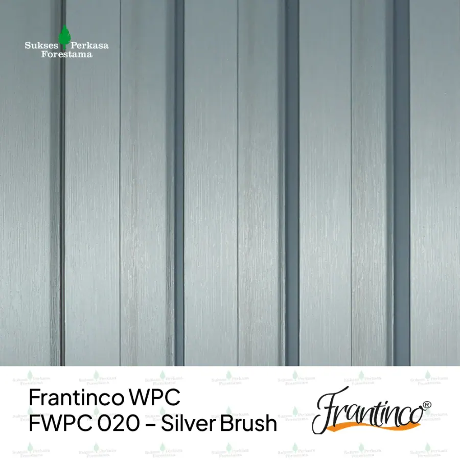 Frantinco WPC FWPC 020 – Silver Brush