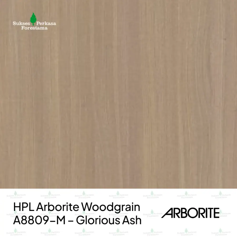 HPL Arborite Woodgrain A8809-M – Glorious Ash