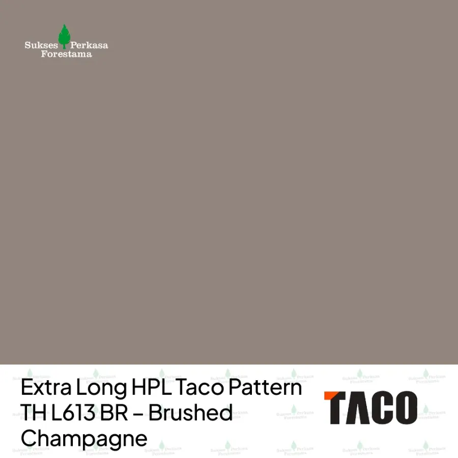 Extra Long HPL Taco Pattern TH L613 BR – Brushed Champagne