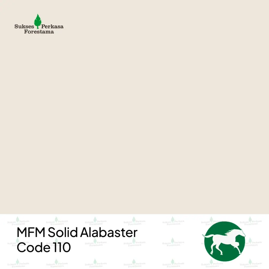 MFM SPF Solid Alabaster – Code 110
