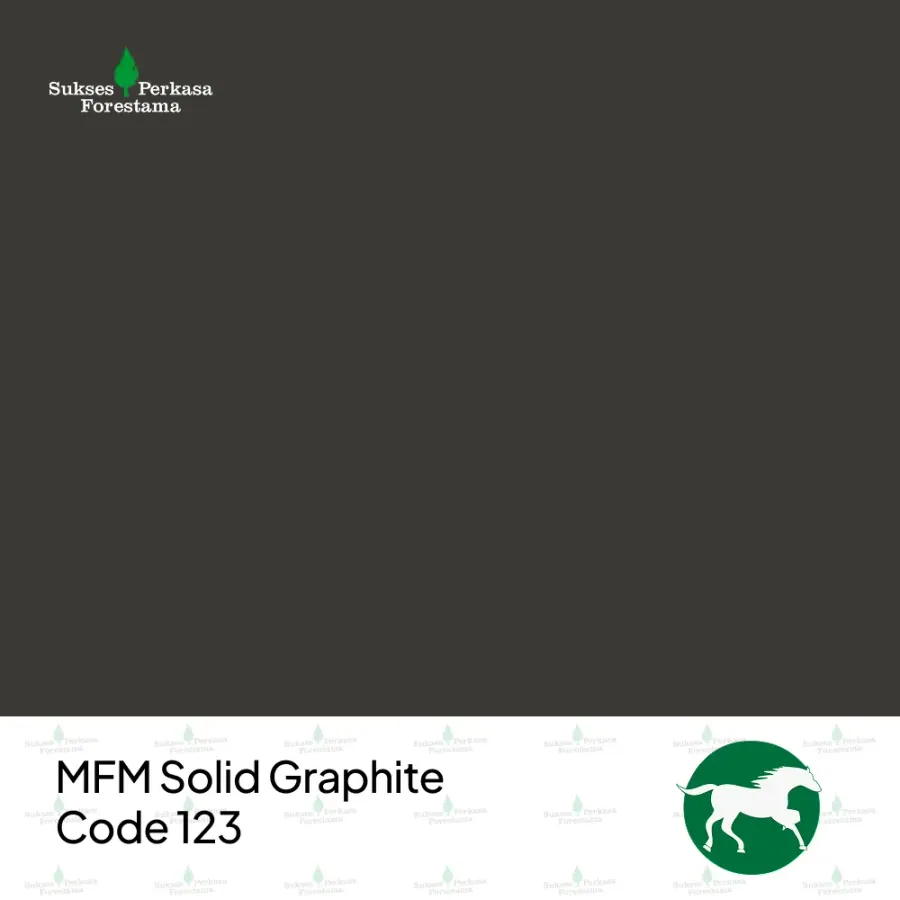 MFM SPF Solid Graphite – Code 123