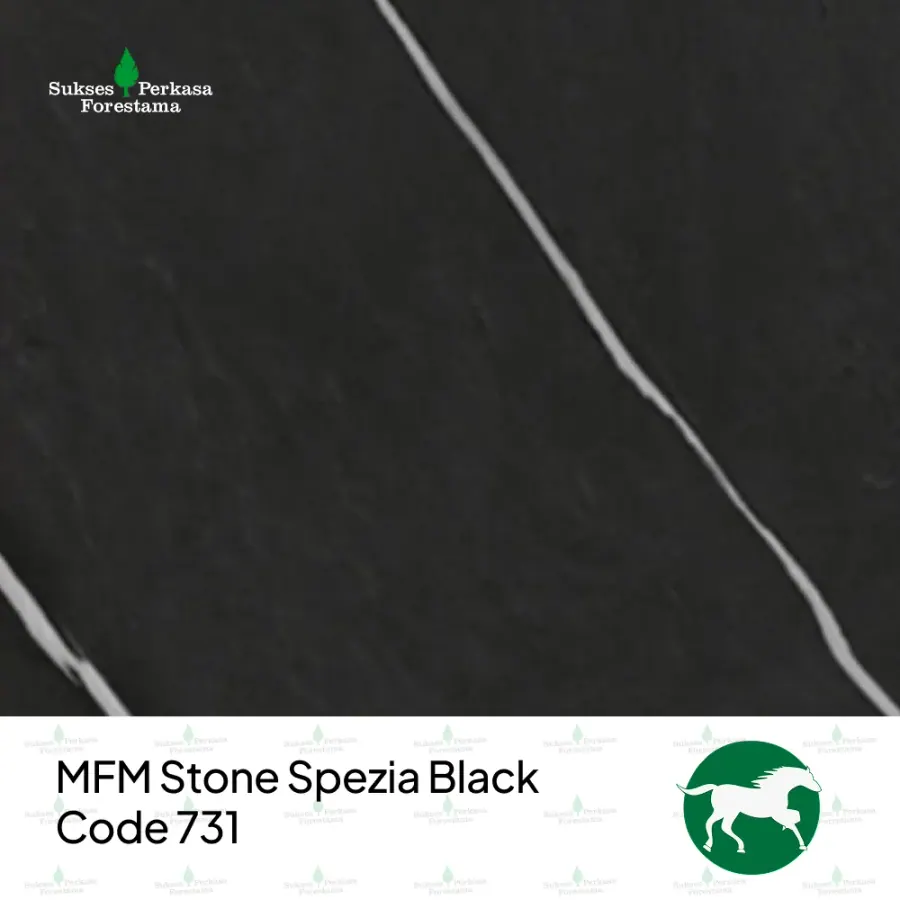 MFM SPF Stone Spezia Black – Code 731