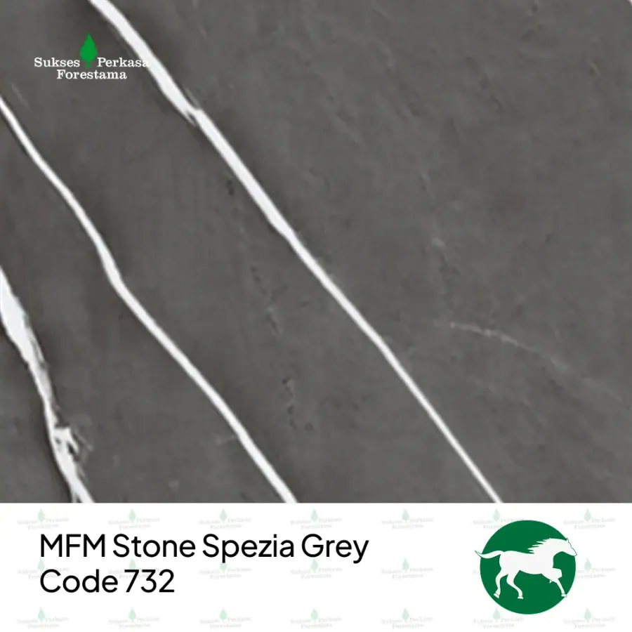 MFM SPF Stone Spezia Grey – Code 732