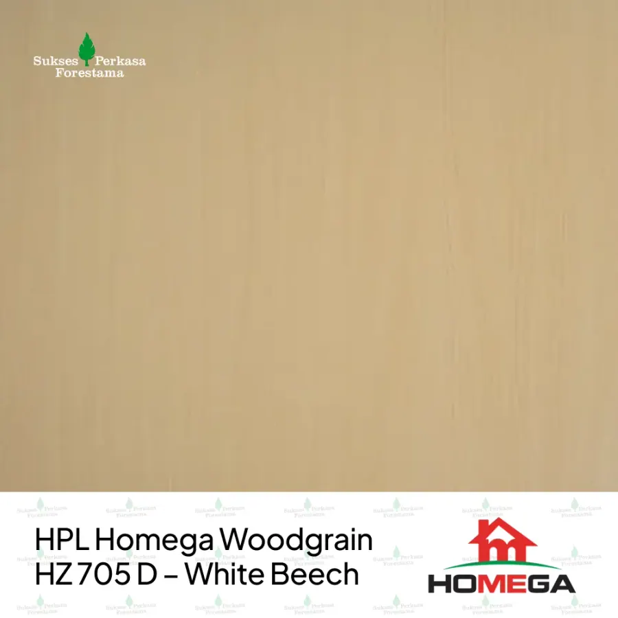 HPL Homega Woodgrain HZ 705 D – White Beech