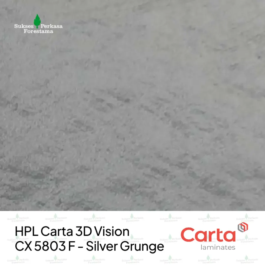 HPL Carta 3D Vision CX 5803 F - Silver Grunge