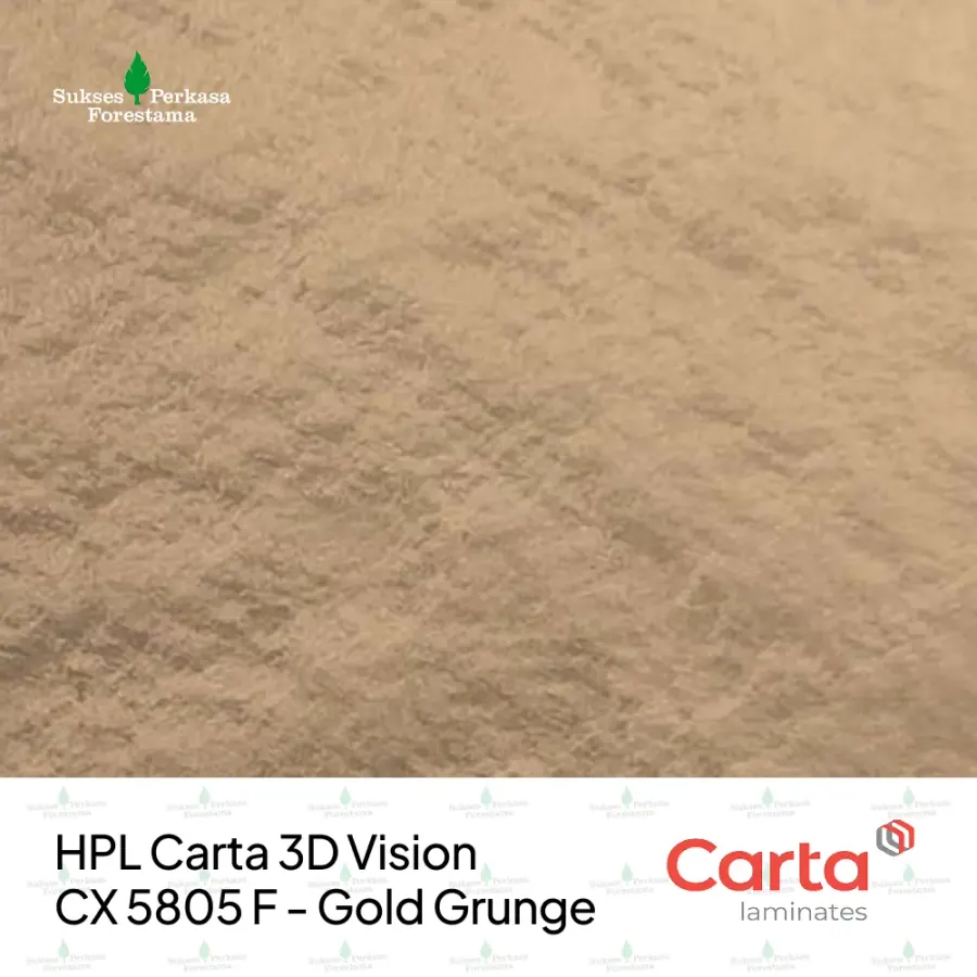 HPL Carta 3D Vision CX 5805 F - Gold Grunge