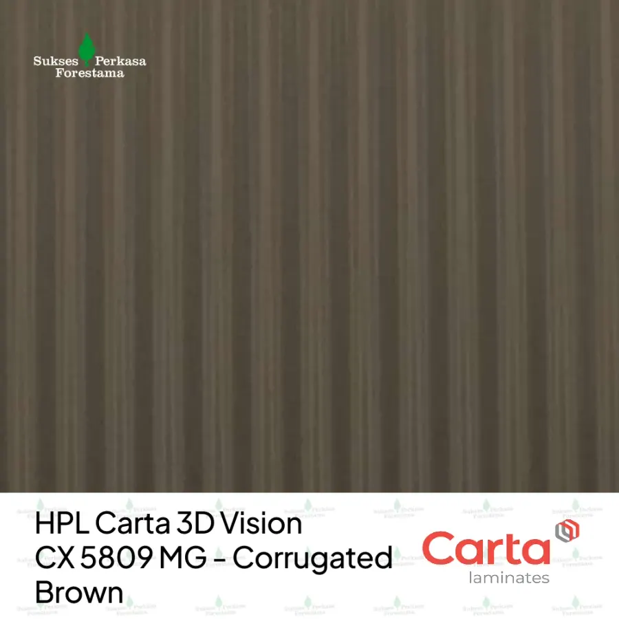 HPL Carta 3D Vision CX 5809 MG - Corrugated Brown