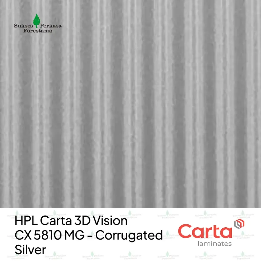 HPL Carta 3D Vision CX 5810 MG - Corrugated Silver