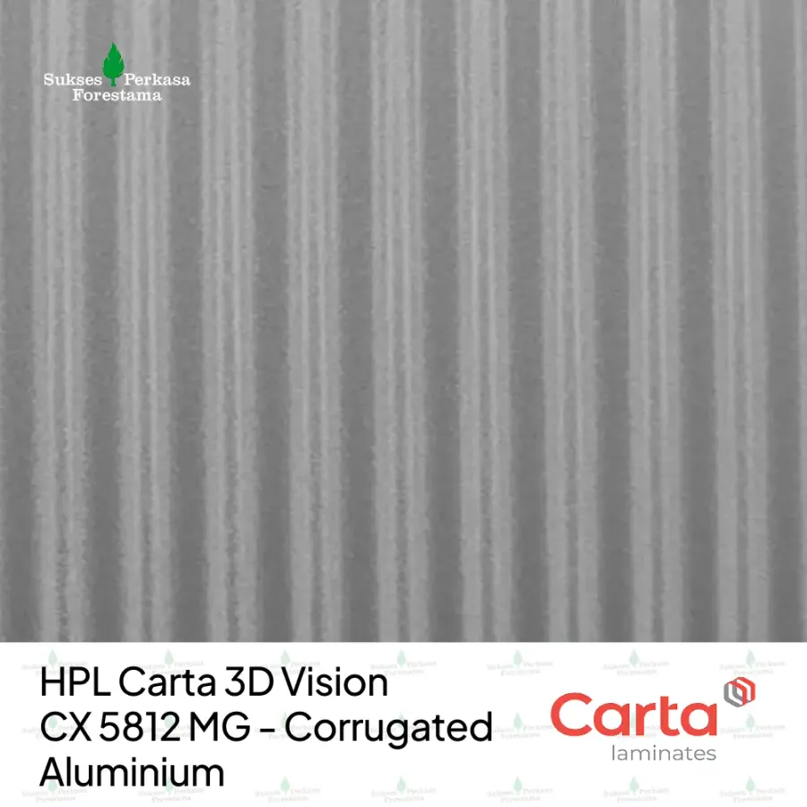 HPL Carta 3D Vision CX 5812 MG - Corrugated Aluminium