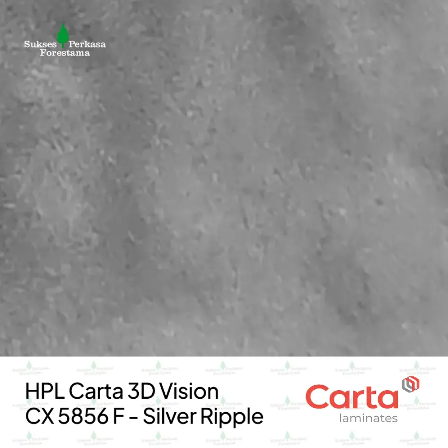 HPL Carta 3D Vision CX 5856 F - Silver Ripple