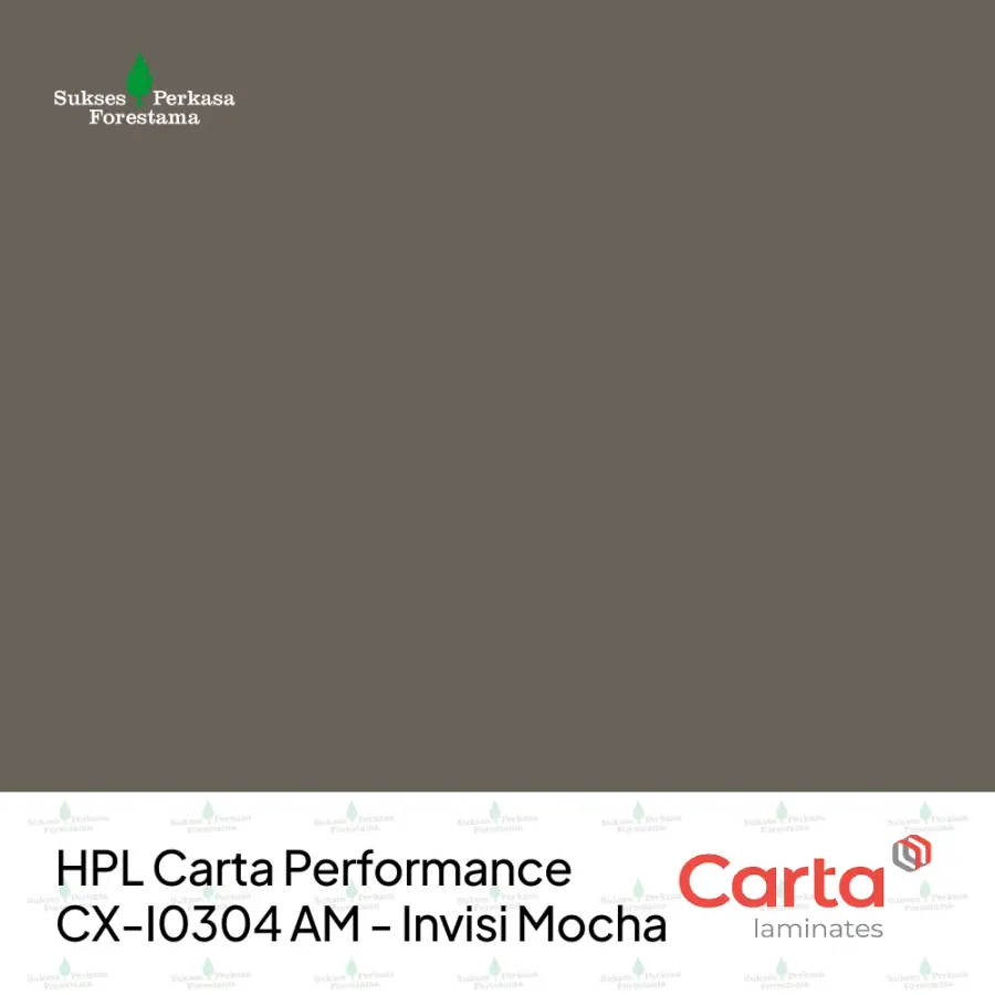 HPL Carta Performance CX-I0304 AM - Invisi Mocha