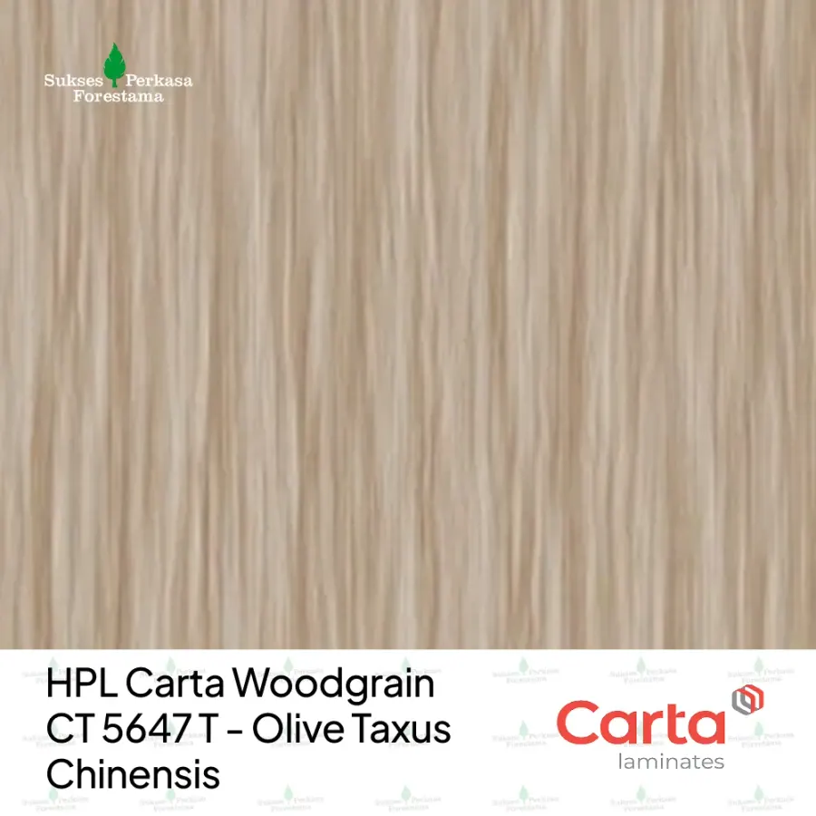 HPL Carta Woodgrain CT 5647 T - Olive Taxus Chinensis