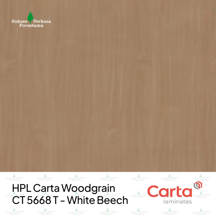 HPL Carta Woodgrain CT 5668 T - White Beech