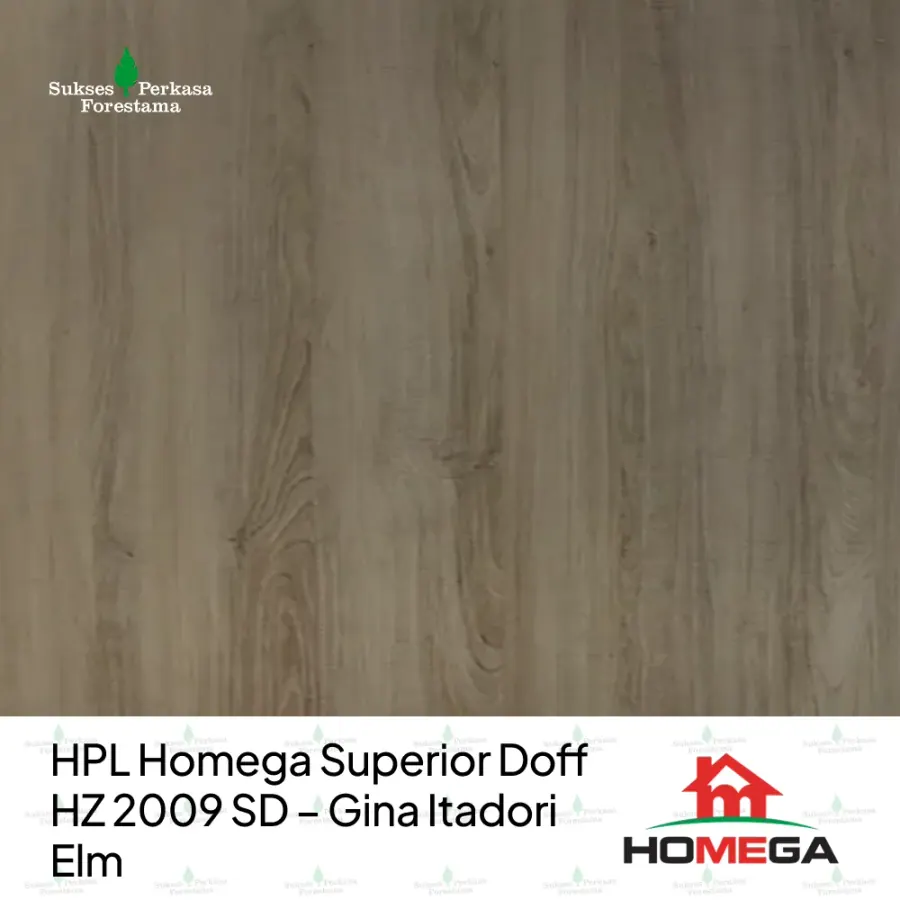 HPL Homega Superior Doff HZ 2009 SD – Gina Itadori Elm