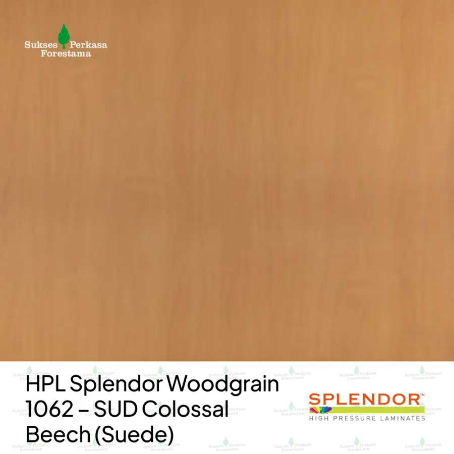 HPL Splendor Woodgrain 1062 – SUD Colossal Beech (Suede)