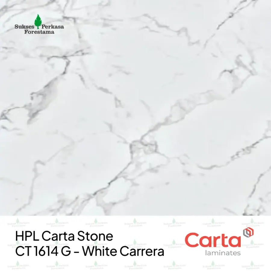 HPL Carta Stone CT 1614 G - White Carrera