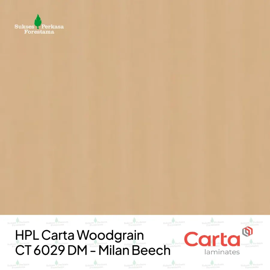 HPL Carta Woodgrain CT 6029 DM - Milan Beech