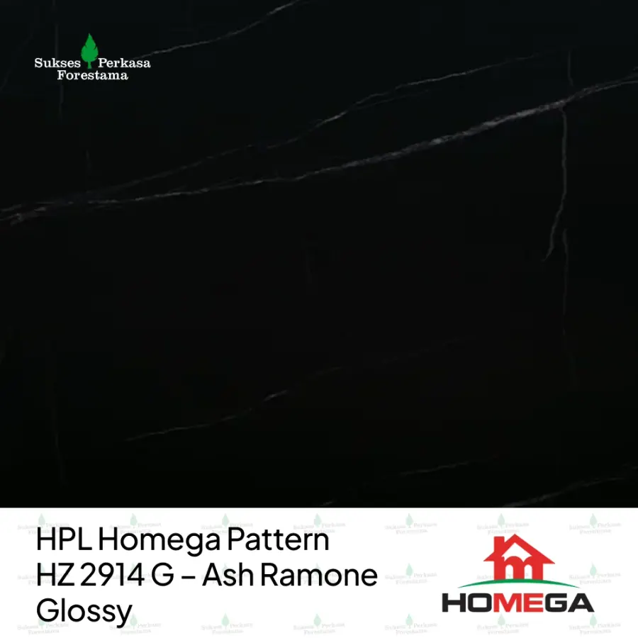 HPL Homega Pattern HZ 2914 G – Ash Ramone Glossy