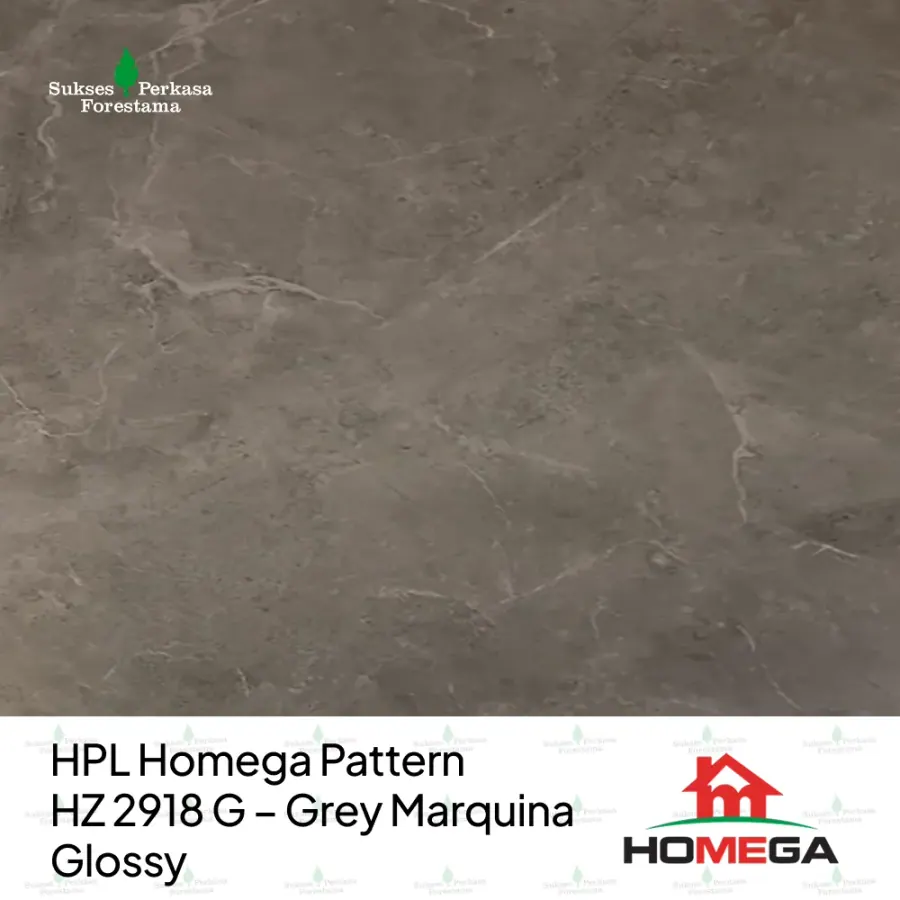 HPL Homega Pattern HZ 2918 G – Grey Marquina Glossy
