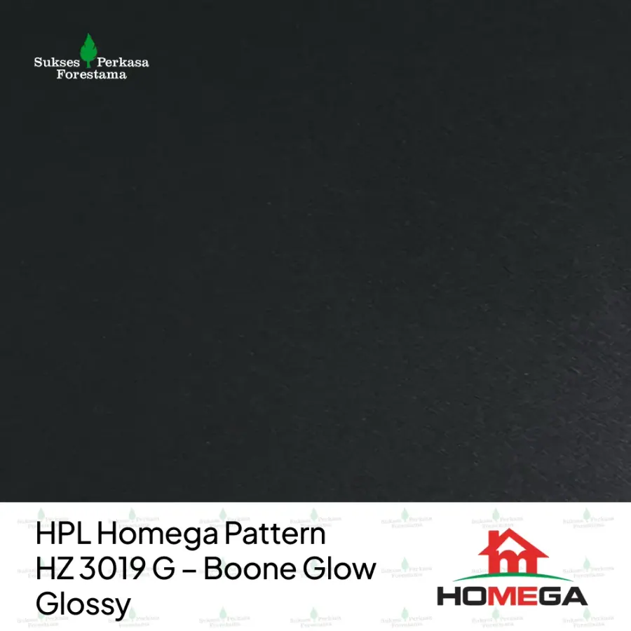 HPL Homega Pattern HZ 3019 G – Boone Glow Glossy