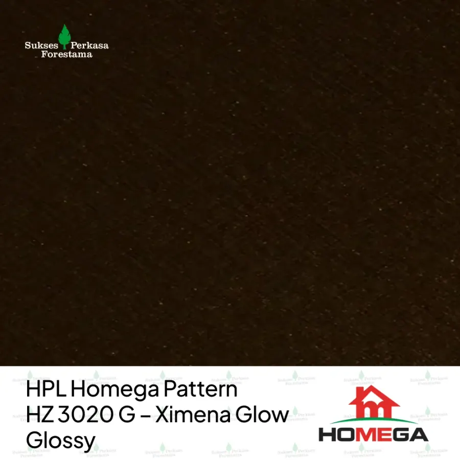 HPL Homega Pattern HZ 3020 G – Ximena Glow Glossy