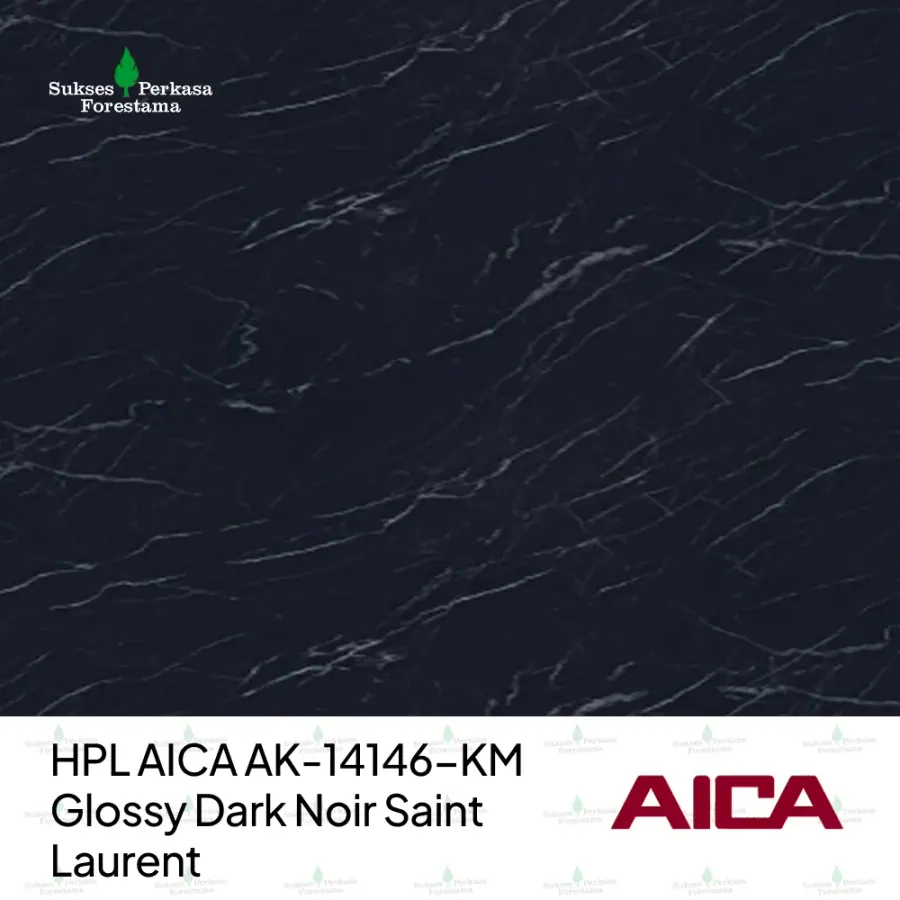 HPL AICA AK-14146-KM – Glossy Dark Noir Saint Laurent