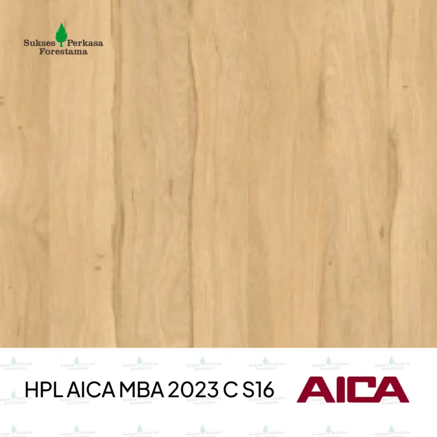HPL AICA MBA 2023 C S16