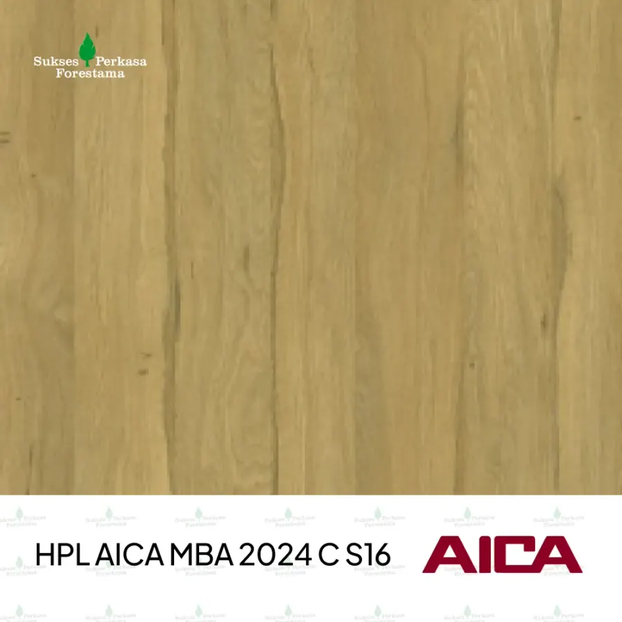 HPL AICA MBA 2024 C S16