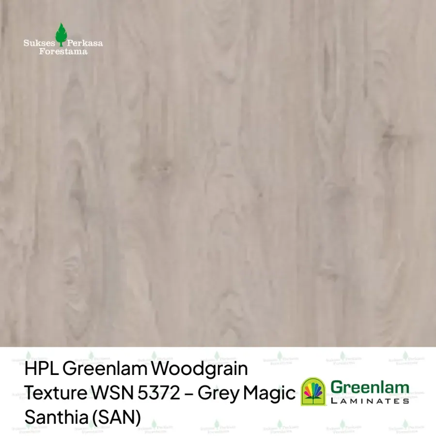 HPL Greenlam Woodgrain Texture WSN 5372 – Grey Magic Santhia (SAN)