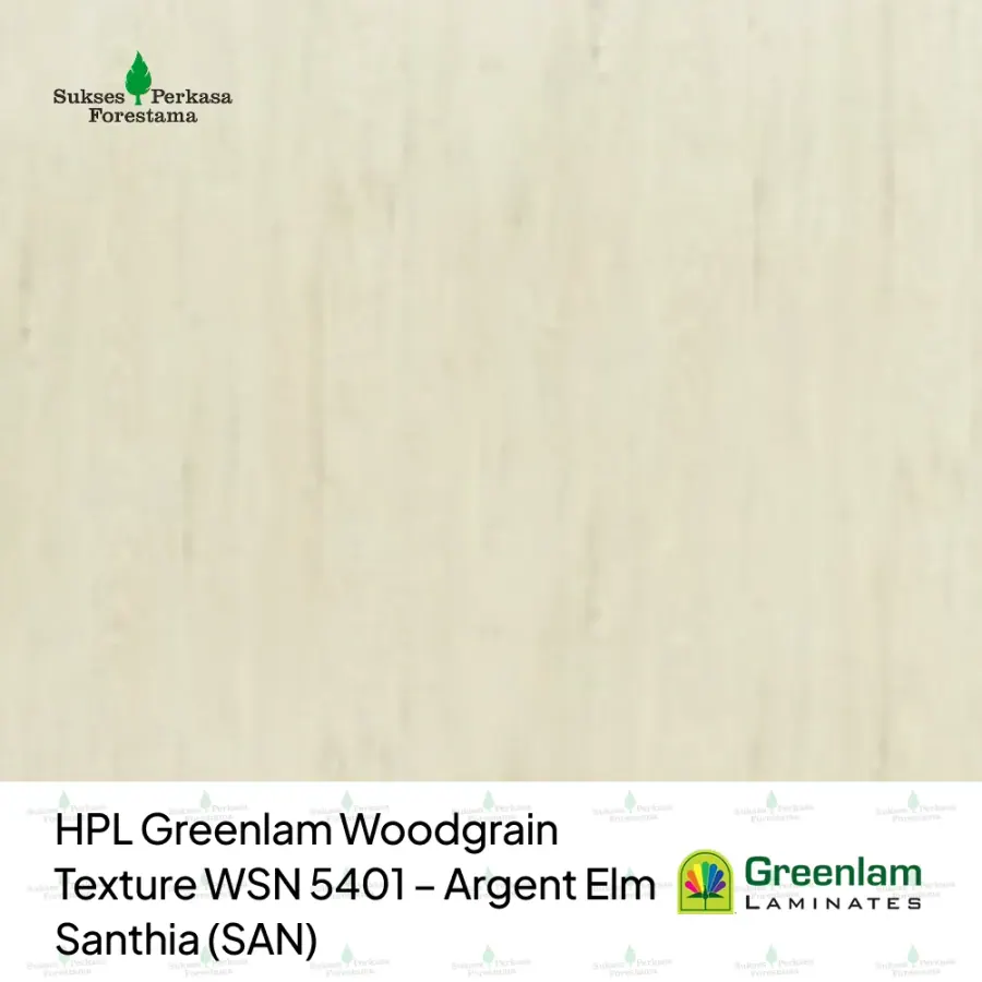 HPL Greenlam Woodgrain Texture WSN 5401 – Argent Elm Santhia (SAN)