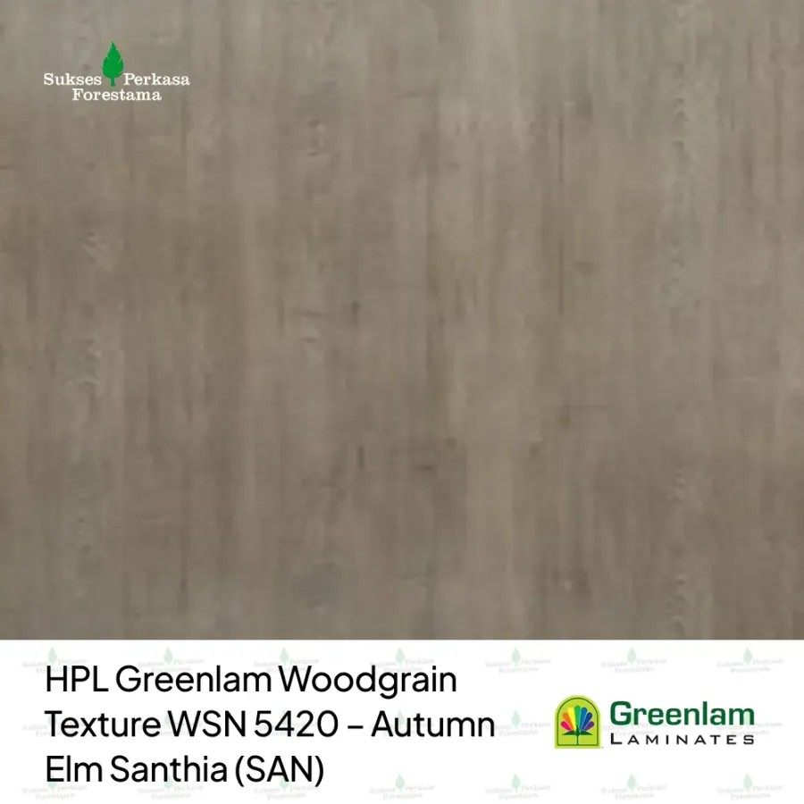 HPL Greenlam Woodgrain Texture WSN 5420 – Autumn Elm Santhia (SAN)