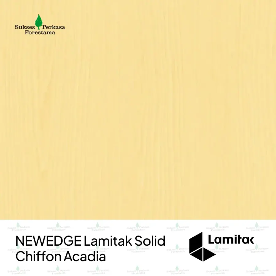 NEWEDGE Lamitak Solid Chiffon Acadia
