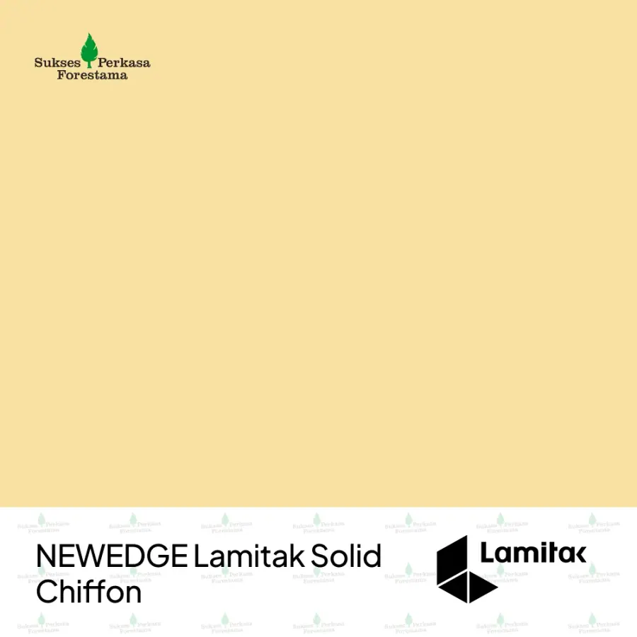 NEWEDGE Lamitak Solid Chiffon