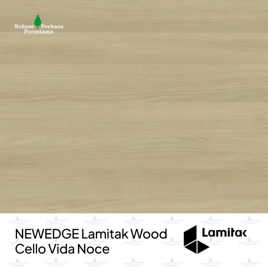 NEWEDGE Lamitak Wood Cello Vida Noce