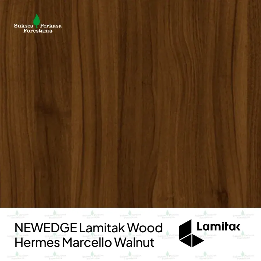 NEWEDGE Lamitak Wood Hermes Marcello Walnut