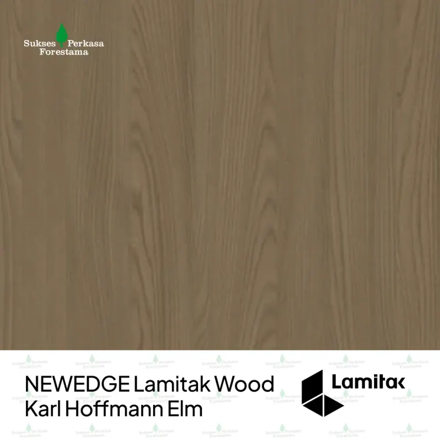 NEWEDGE Lamitak Wood Karl Hoffmann Elm