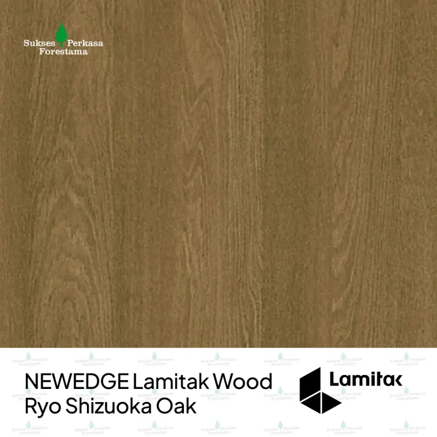 NEWEDGE Lamitak Wood Ryo Shizuoka Oak