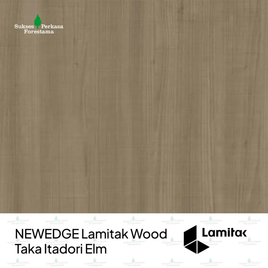 NEWEDGE Lamitak Wood Taka Itadori Elm