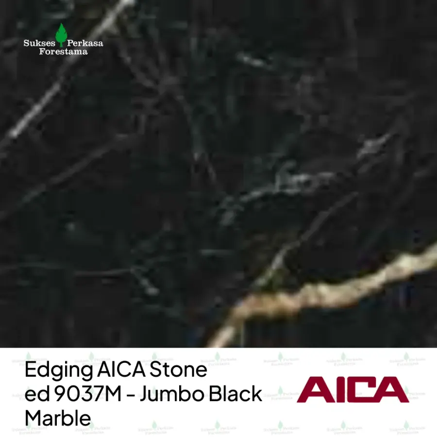 Edging AICA Stone ed 9037M - Jumbo Black Marble