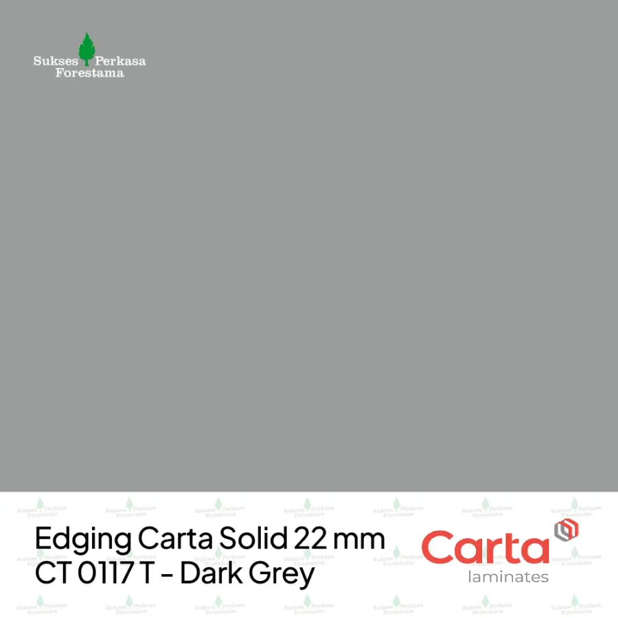 Edging Carta Solid 22 mm CT 0117 T - Dark Grey
