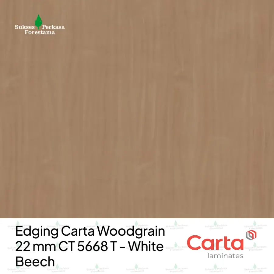 Edging Carta Woodgrain 22 mm CT 5668 T - White Beech