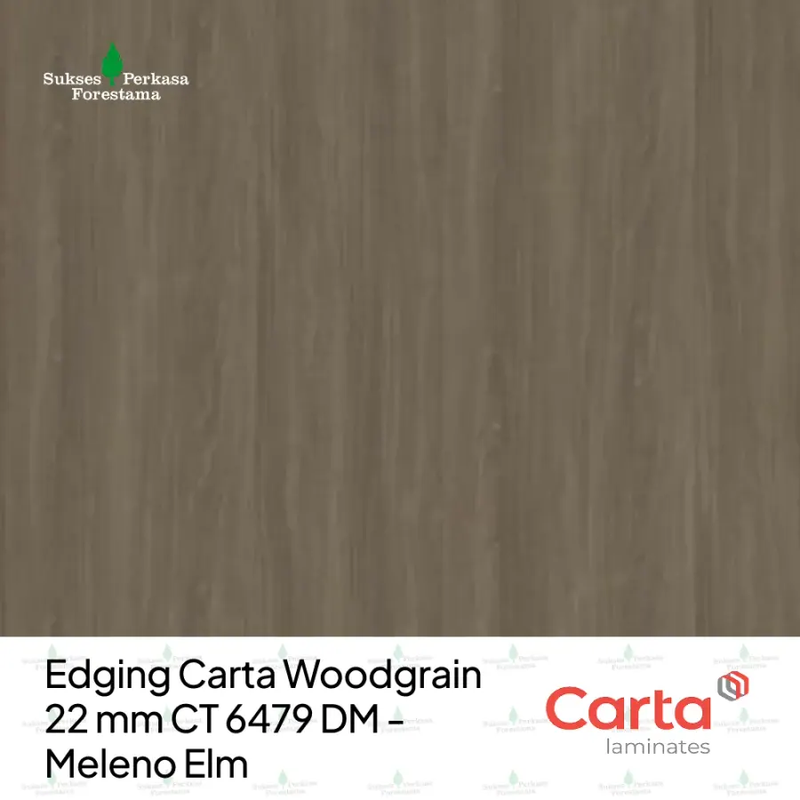 Edging Carta Woodgrain 22 mm CT 6479 DM - Meleno Elm