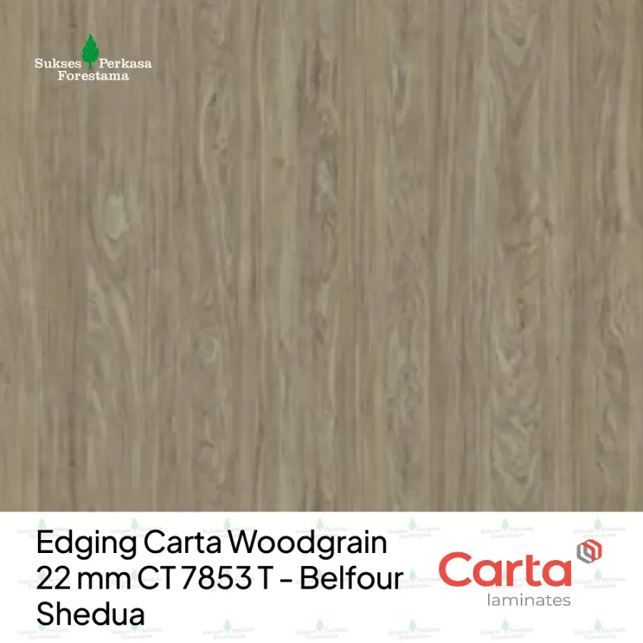 Edging Carta Woodgrain 22 mm CT 7853 T - Belfour Shedua